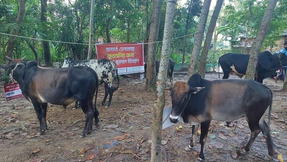 কুরবানী প্রজেক্ট